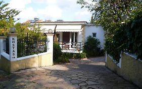 Kostas studios